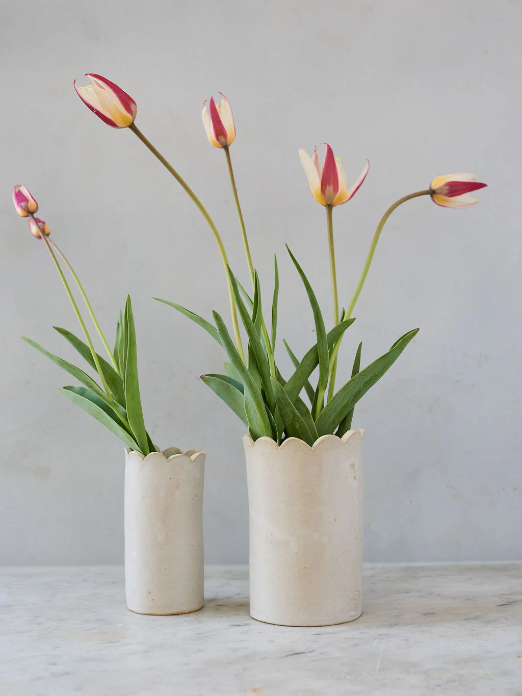 For the Gardener